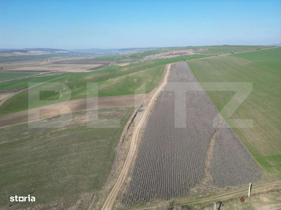 Teren de 4.5ha pretabil pentru panouri fotovoltaice, Dobrovat - Imagine principală: 4/5