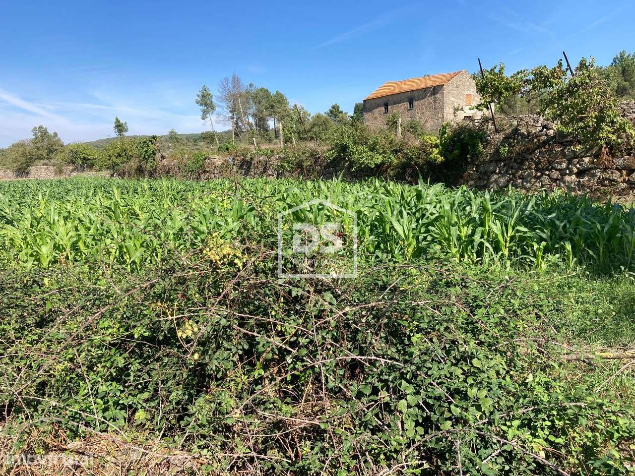 Lote de Terreno  Venda em Juncais, Vila Ruiva e Vila Soeiro do Chão,Fo-15