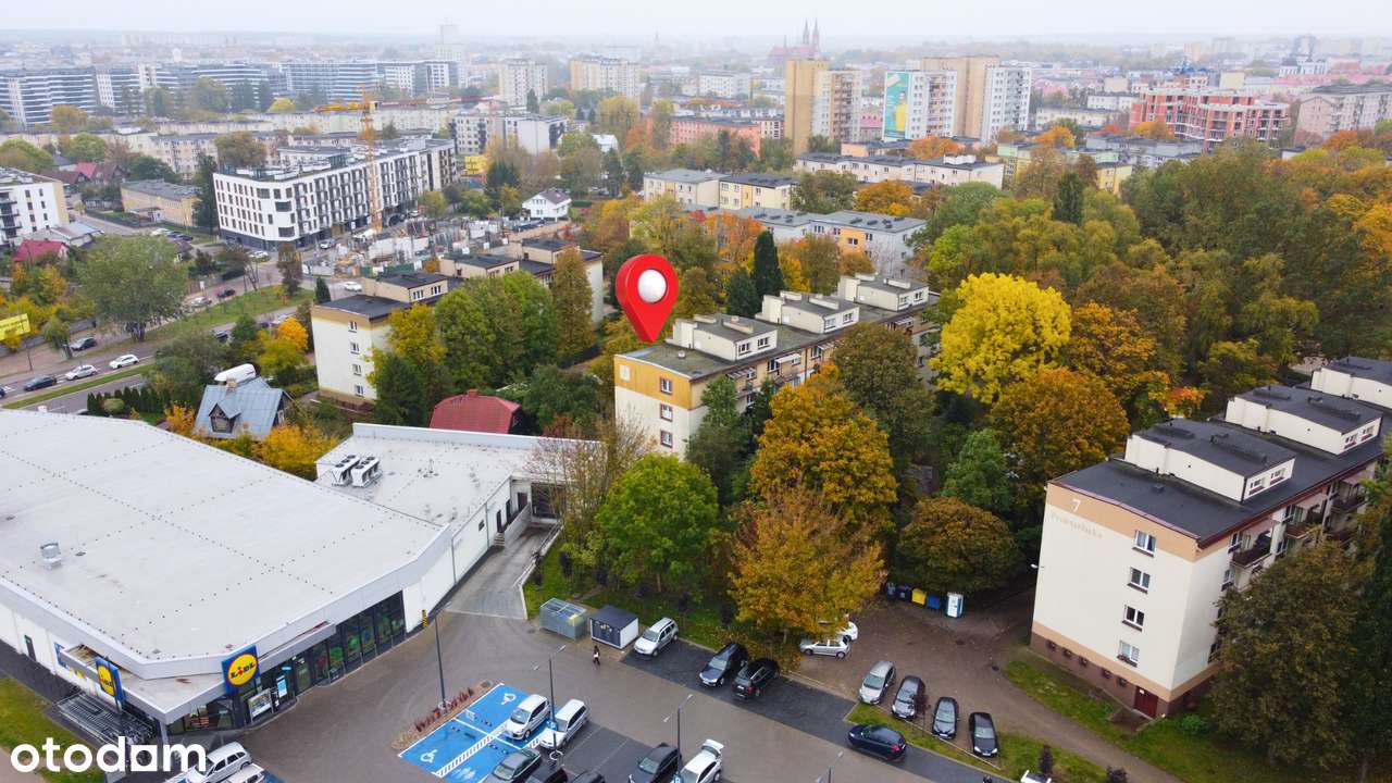Zobacz, Jak Wygląda Cisza i Zieleń w Samym Centrum Miasta TERAZ!-8