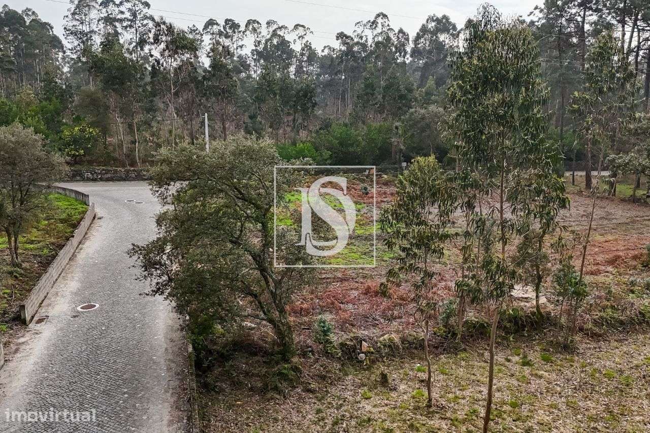 Terreno p/ construção com 3842 m² na Estrada Real - Grande imagem: 4/9