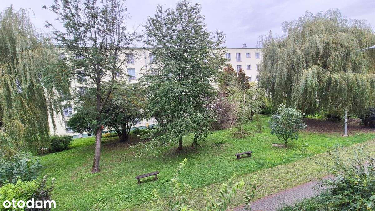 2 pokoje do remontu, 1 piętro, Aleja Majowa - Pełny obrazek: 5/8