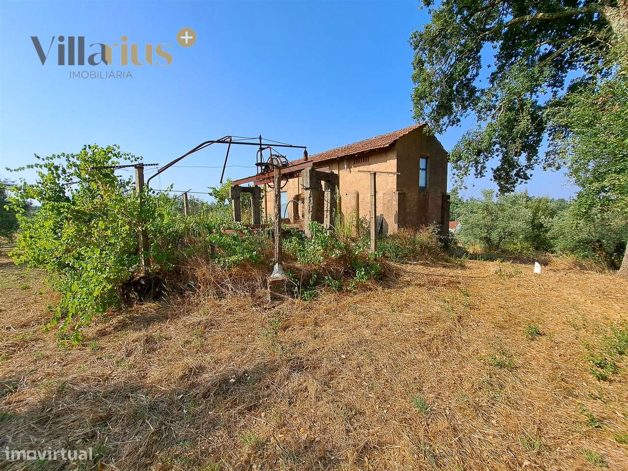 Terreno 11.513 m² com Projeto Aprovado — Tomar-8