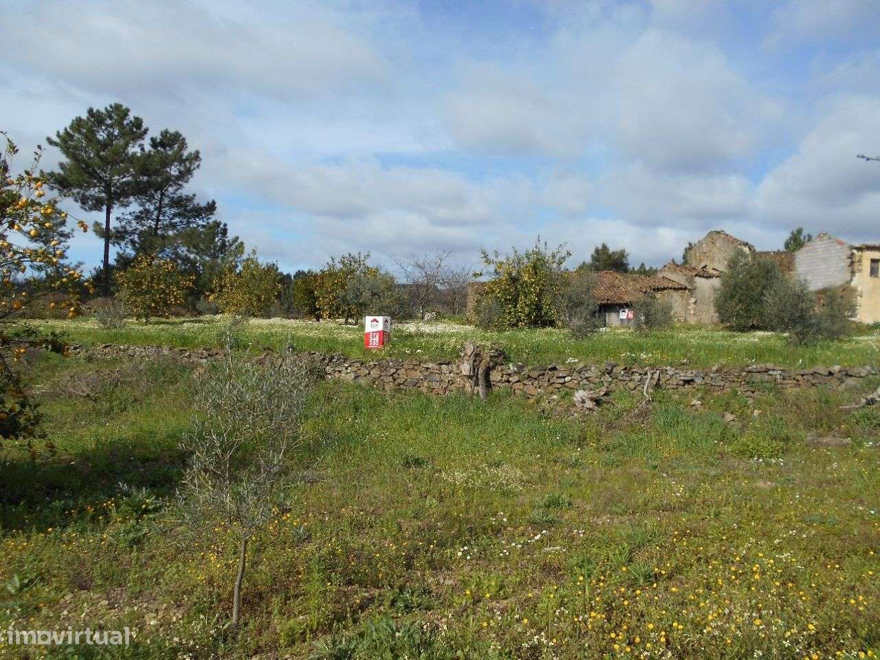 Quinta - Grande imagem: 2/10