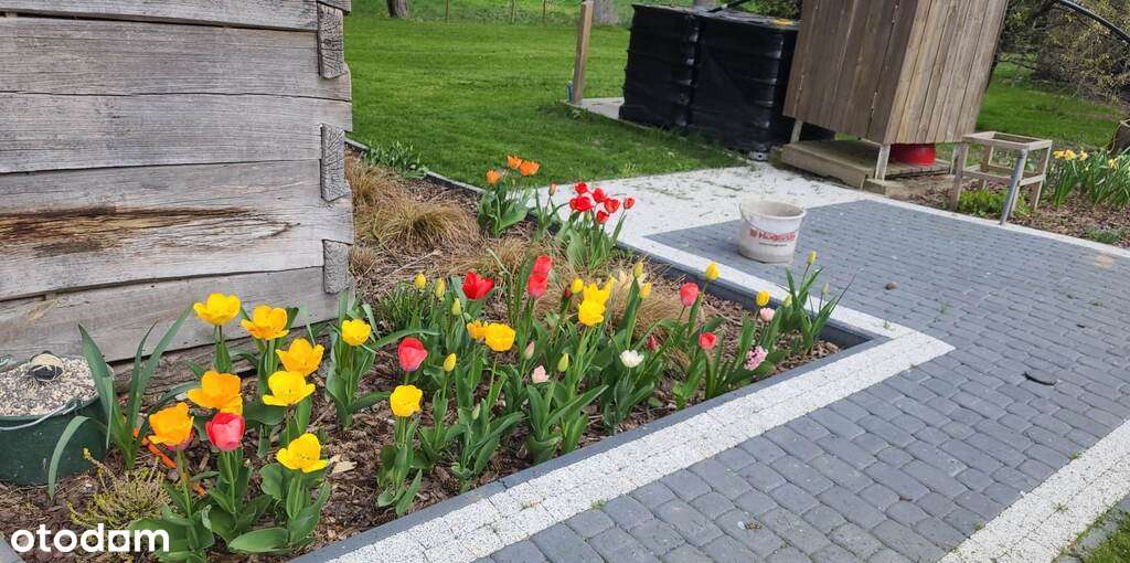 Siedlisko z uroczym domem, Sewerynów, gm. Cyców-16