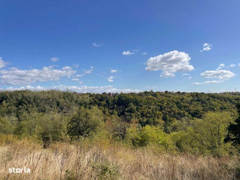 Teren Babana - Imagine principală: 3/8