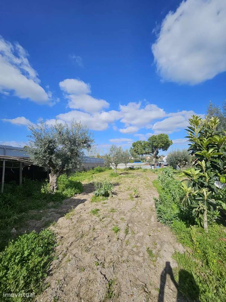 Moradia T2 + 1 com Quintal, Garagem e Anexo Sabugueiro, Arraiolos-23