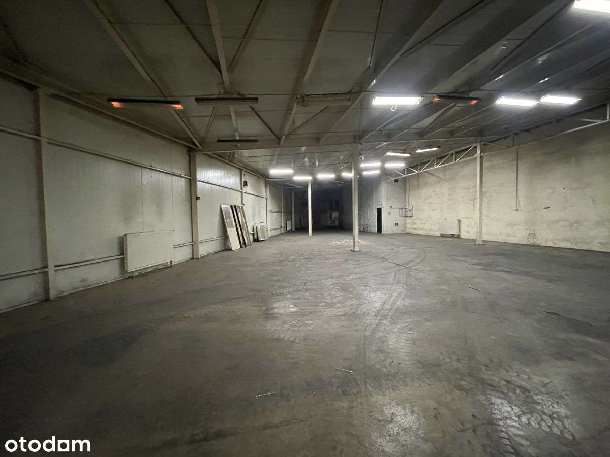 Duży magazyn z antresolą - Zagnańska - Pełny obrazek: 5/6