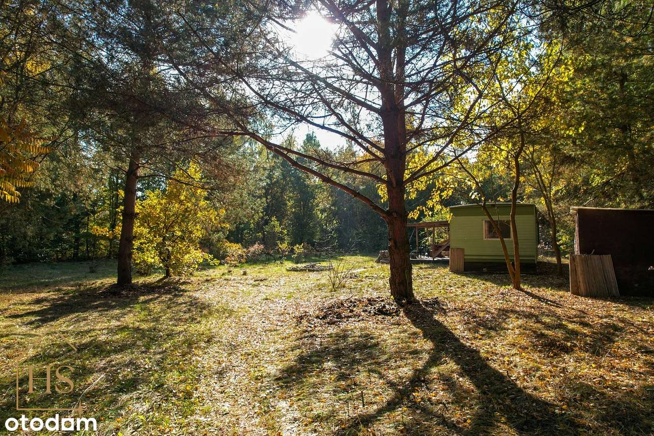 Piękna działka pod zabudowę/Zalesie gm. Żabia Wola/35 min od Wa-wy-7