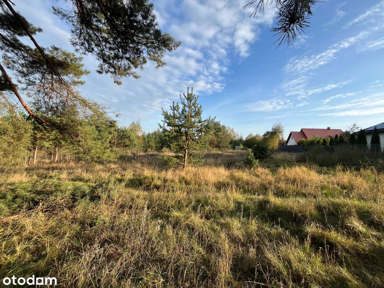 Piękna działka budowlana Sulmin_ pod lasem, blisko jeziora i miasta - Pełny obrazek: 2/8