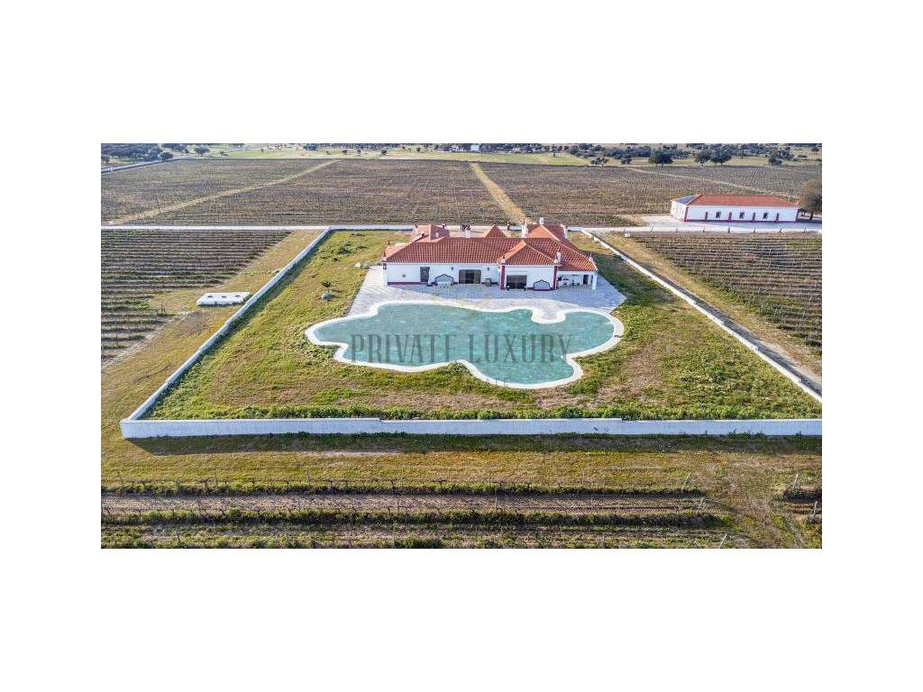 Herade das Castas Nobres- Herdade de 36 hectares no Redondo-Évora - Grande imagem: 3/28