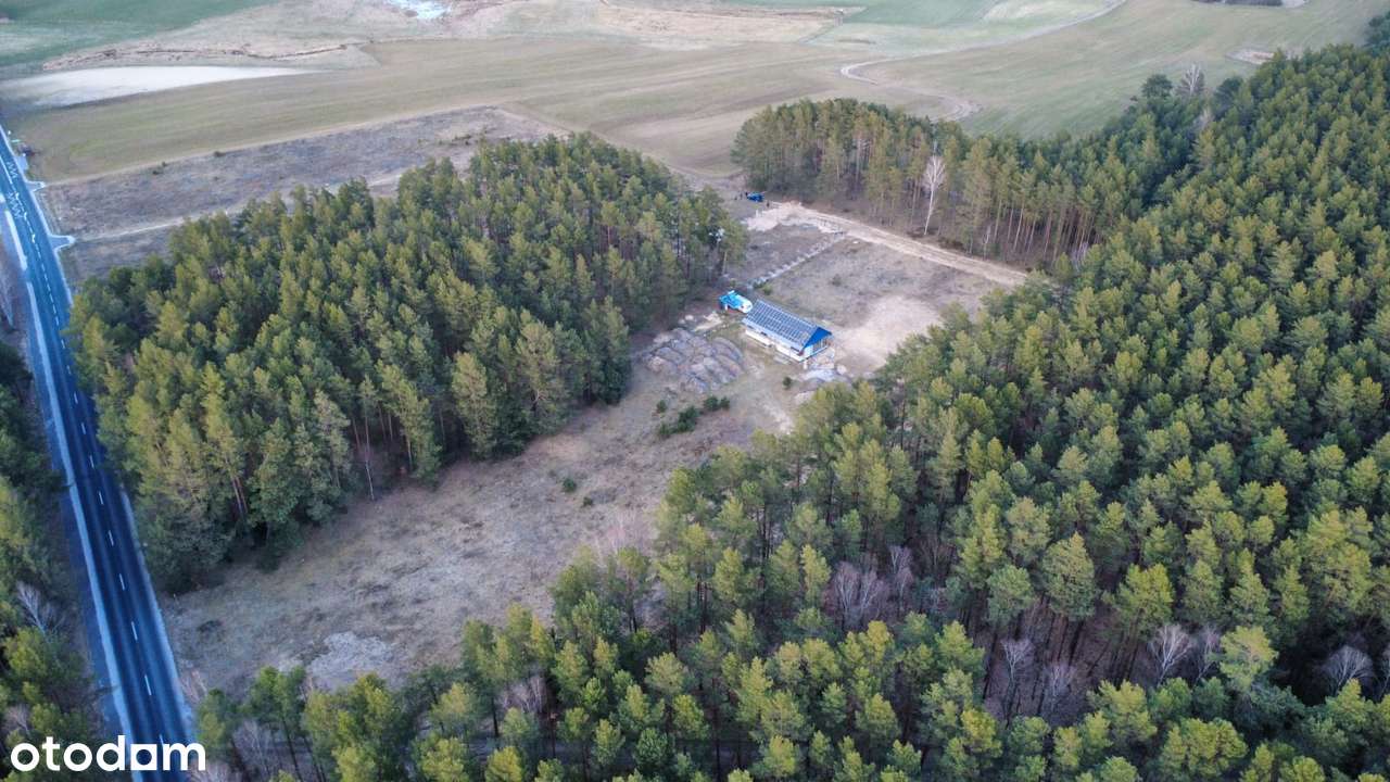 Działki Budowlane/ Ceny od 90 zł M2 do 120 zł m2 - Pełny obrazek: 2/6