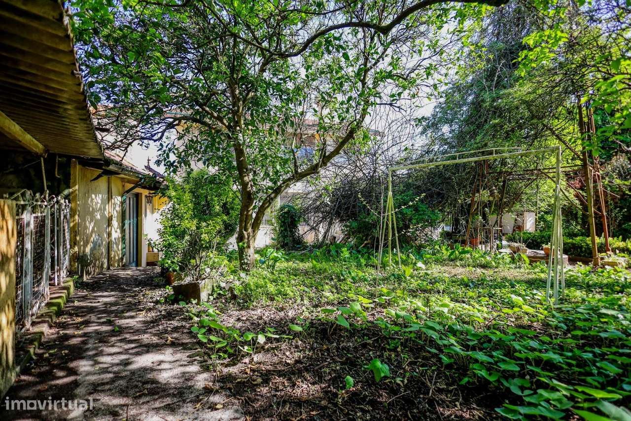 Moradia com 1451m2 de Terreno e Elevado Potencial de Valorização em Sã-40