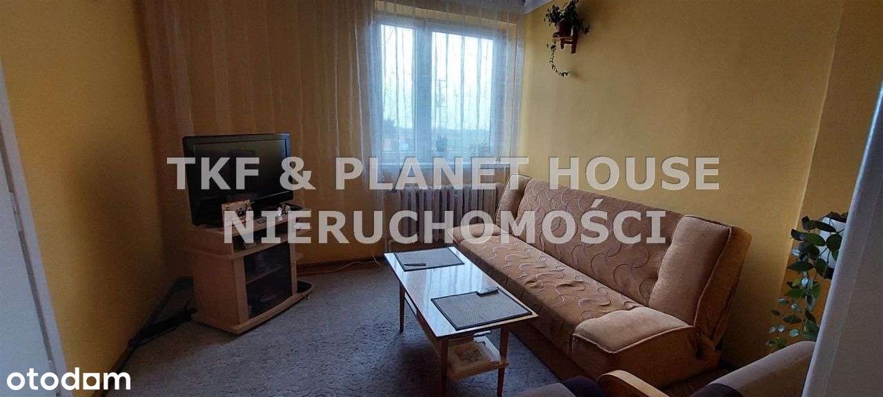 Dom w Srocku, gm. Moszczenica, dz. 3078 m2 - Pełny obrazek: 4/10