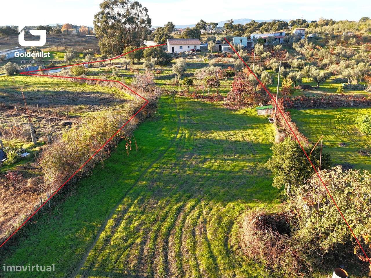 Quinta T3 Venda em Escalos de Cima e Lousa,Castelo Branco-24