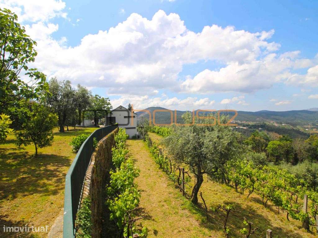 Quinta agrícola - 45 minutos do Porto-37