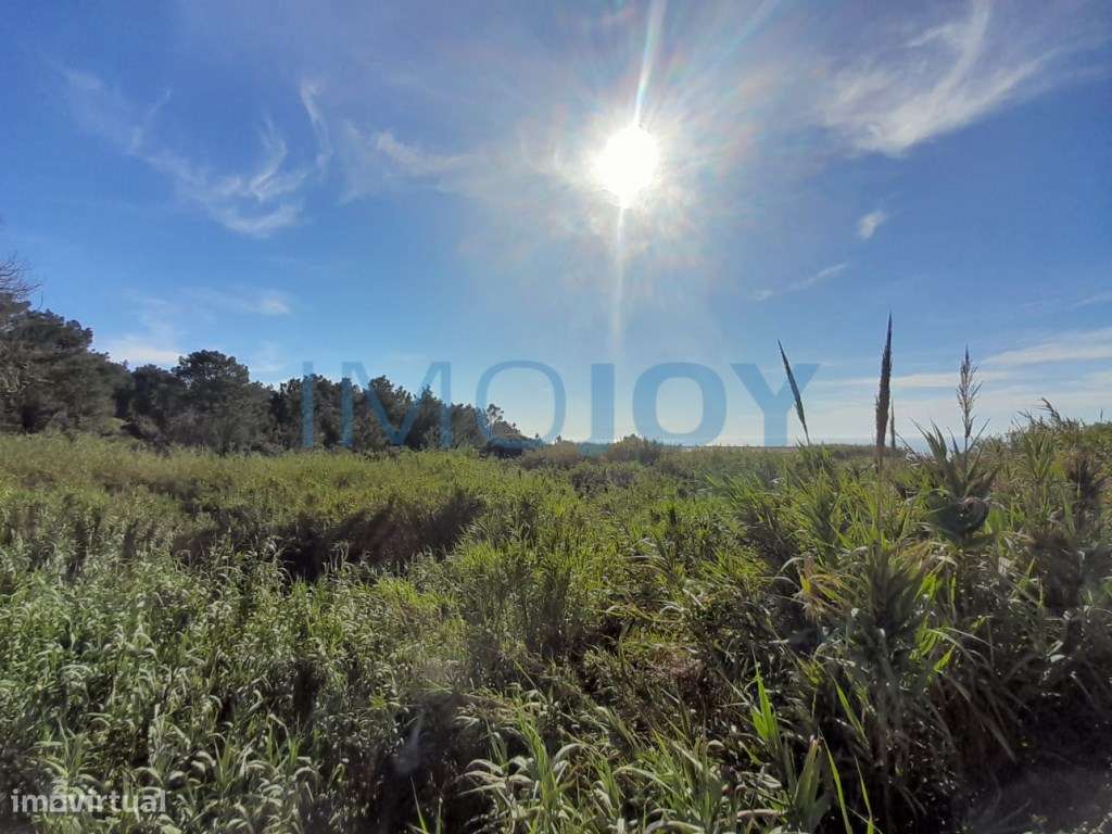 Terreno na Ericeira - Grande imagem: 5/11