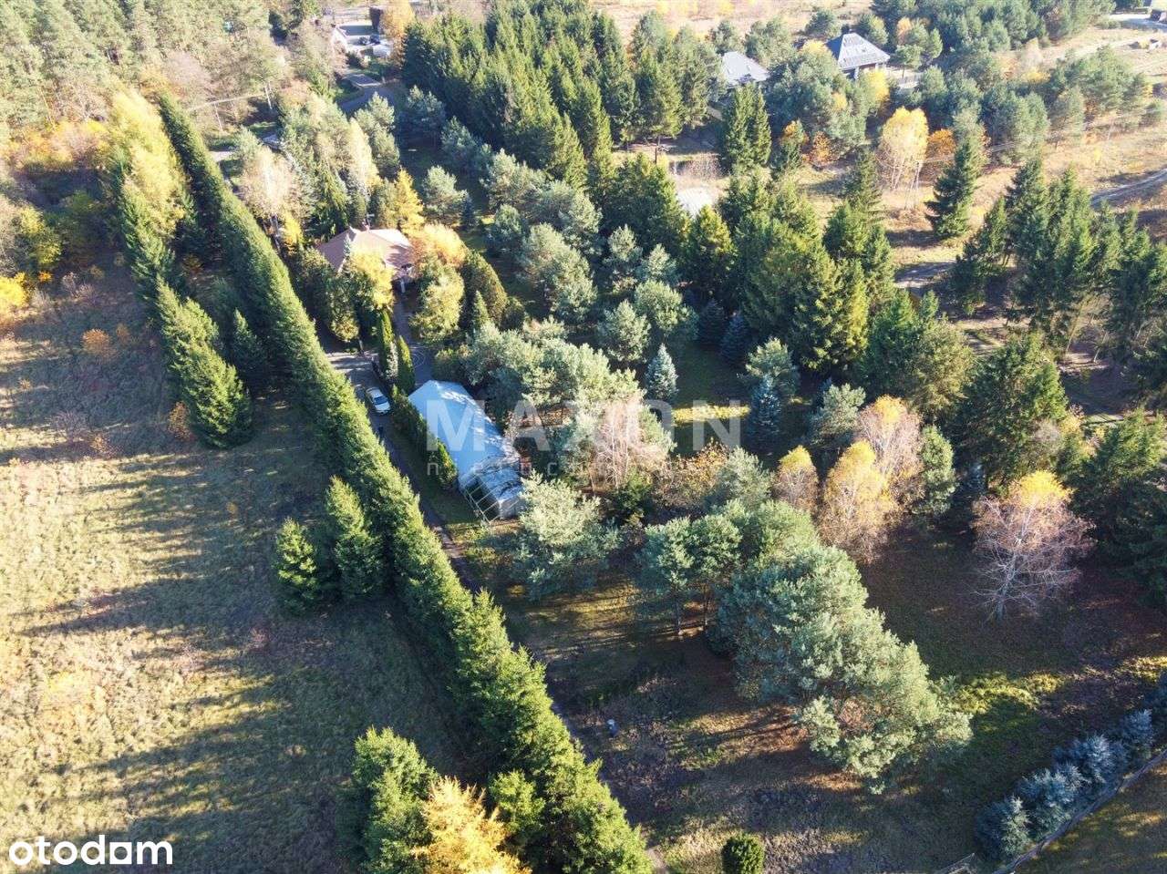 Grunt na sprzedaż - Skrzeszew 4 493 m2 - Pełny obrazek: 5/9