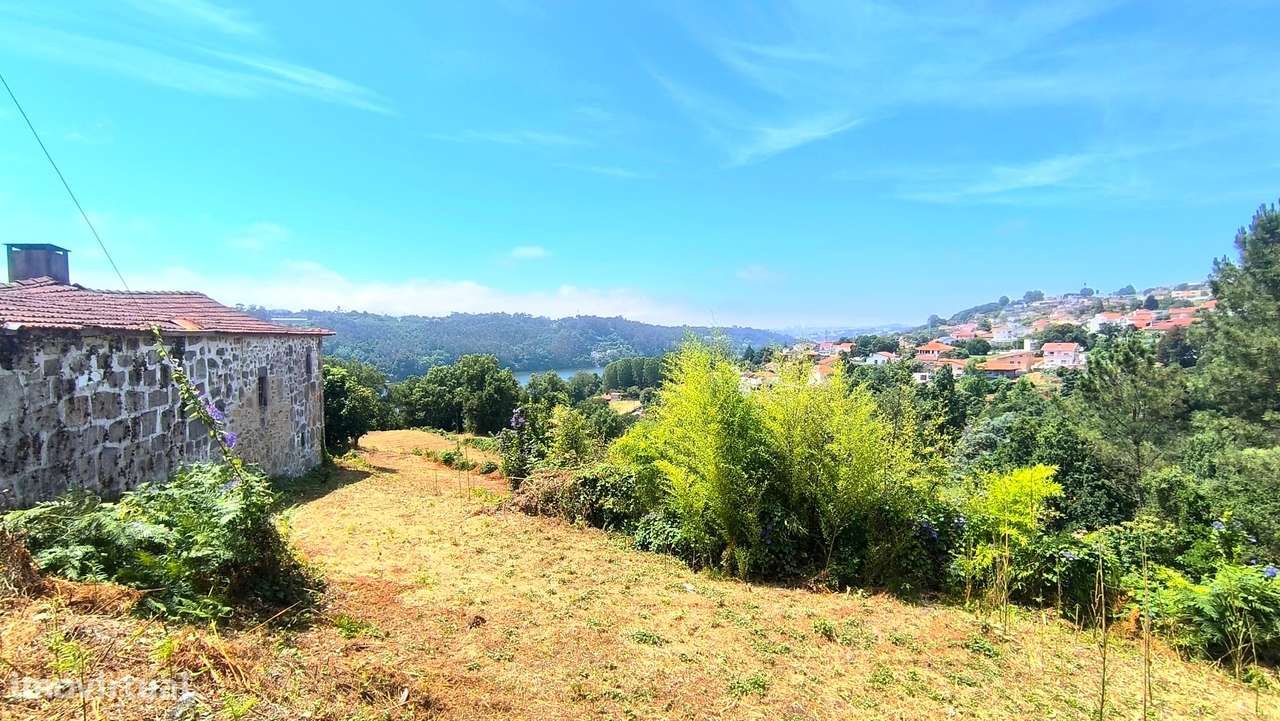 Quinta com 19000 m2 nas margens do Douro-9
