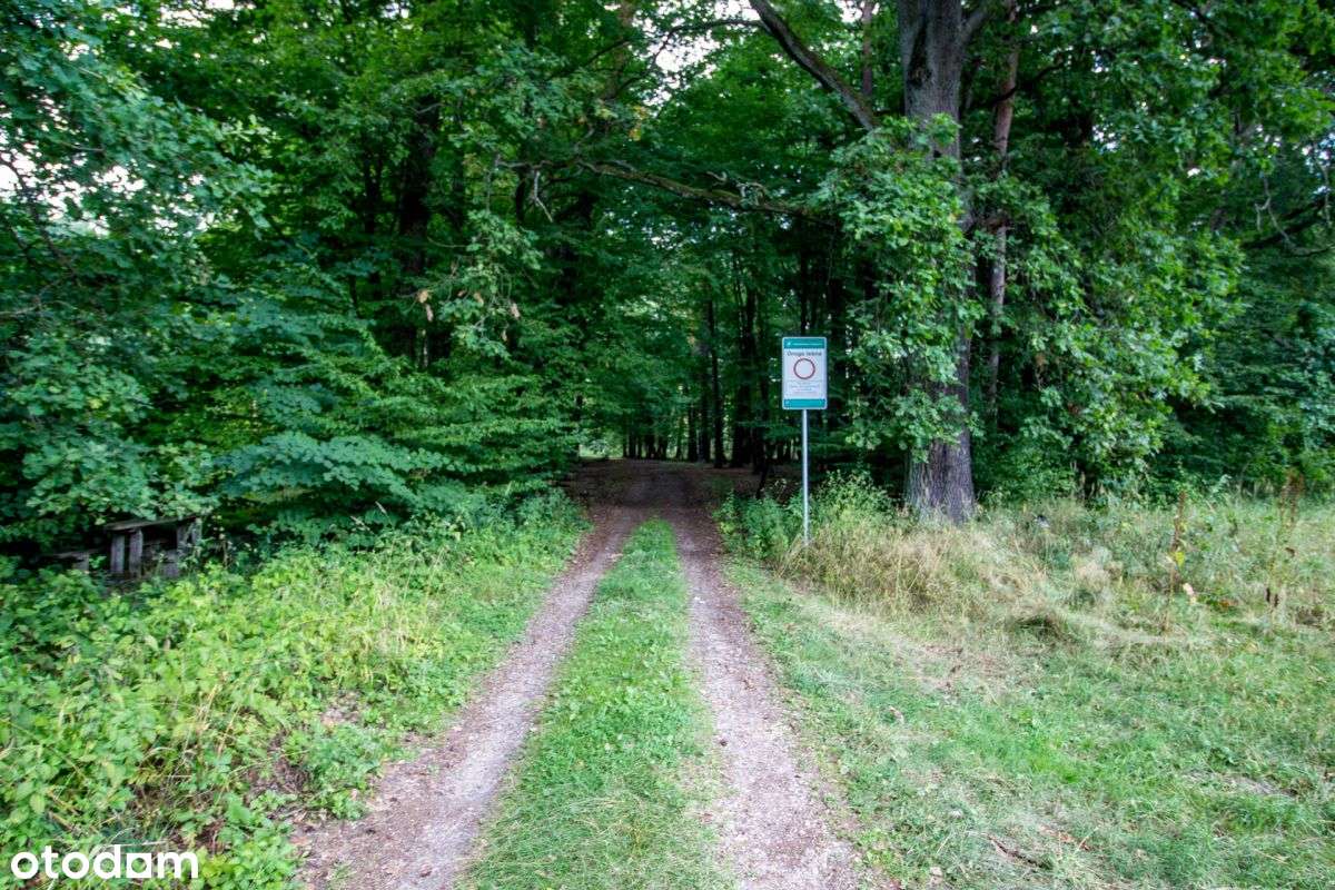 Działka 297 w Koszęcinie pod lasem 585m2  154zł/m2 - Pełny obrazek: 4/20