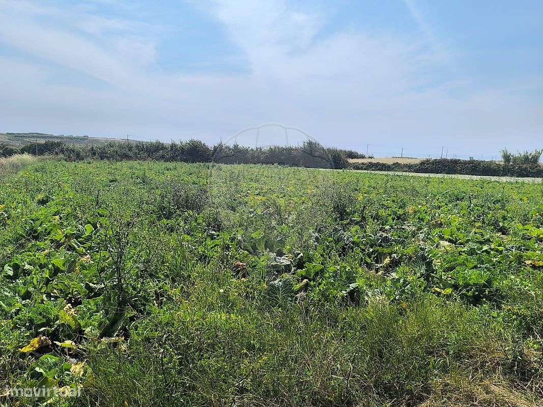 Terreno  para venda-10