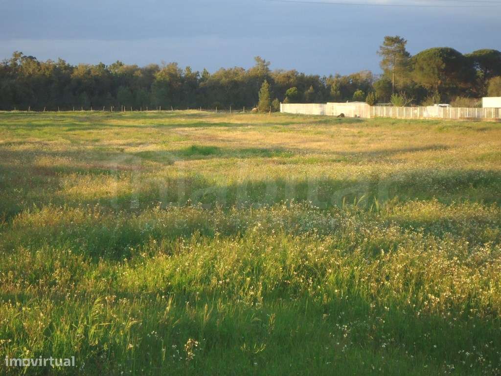 Terreno para Construção - Grande imagem: 4/7