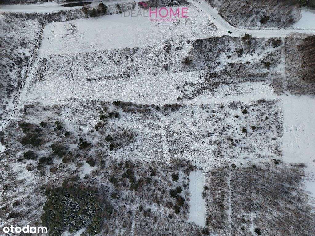 Sprzedam działkę 3,53ha - Krzątka obok Nowej Dęby - Pełny obrazek: 4/20