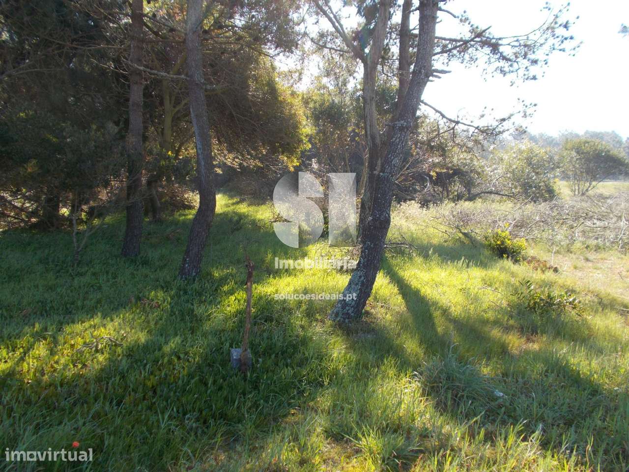 Terreno Gafanha da Boa Hora - Grande imagem: 4/4