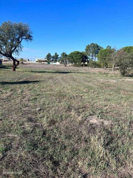 Terreno para venda - Grande imagem: 4/9