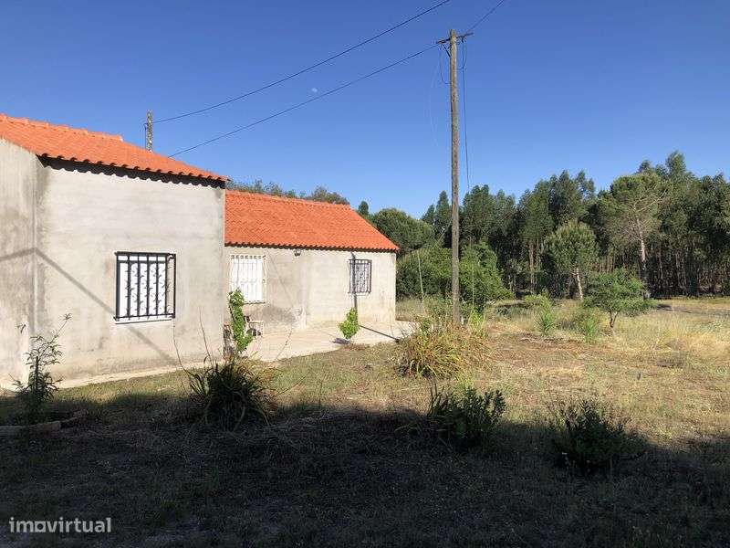 Monte em Feixe - Coruche, 5 ha-1