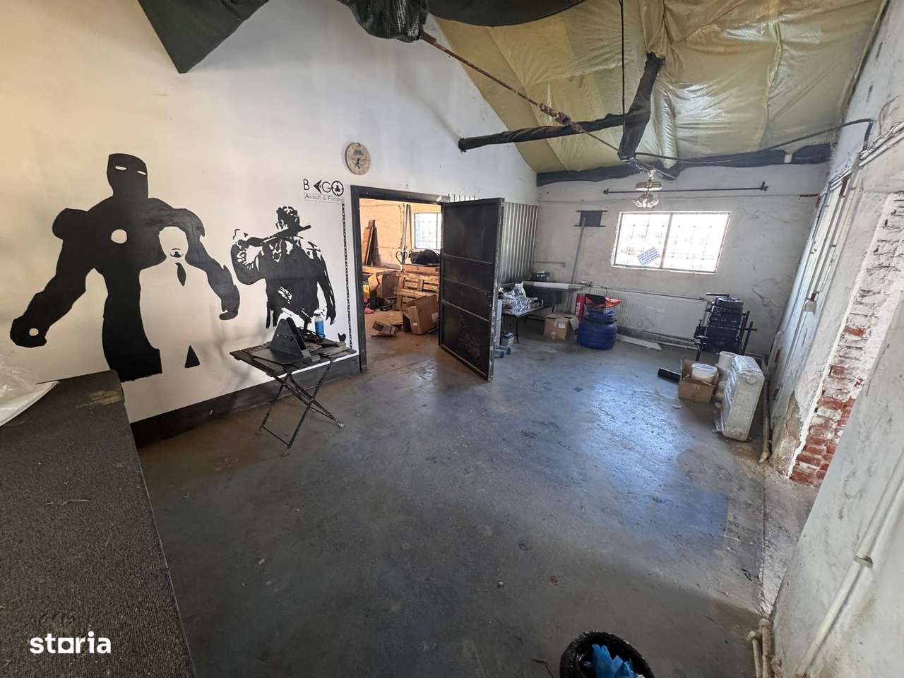 De vanzare Hala / Depozit Satu Mare-11