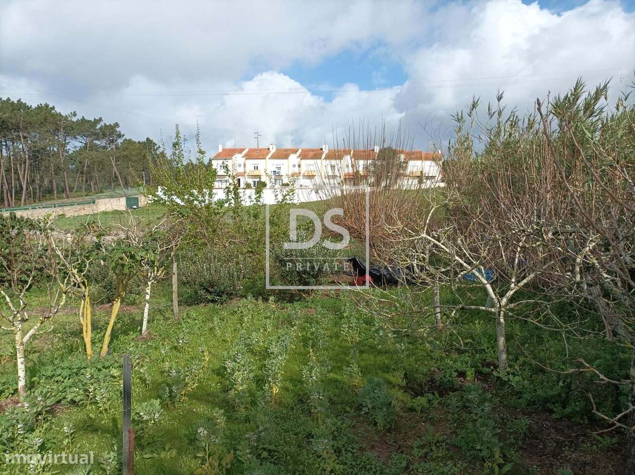 Terreno Urbano em Fonte Boa dos Nabos/Ericeira - Grande imagem: 5/8