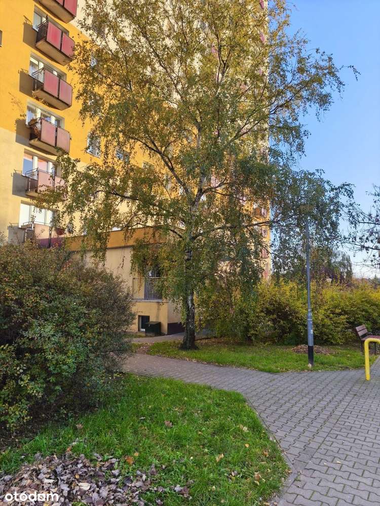 Mieszkanie na sprzedaż Winogrady-0