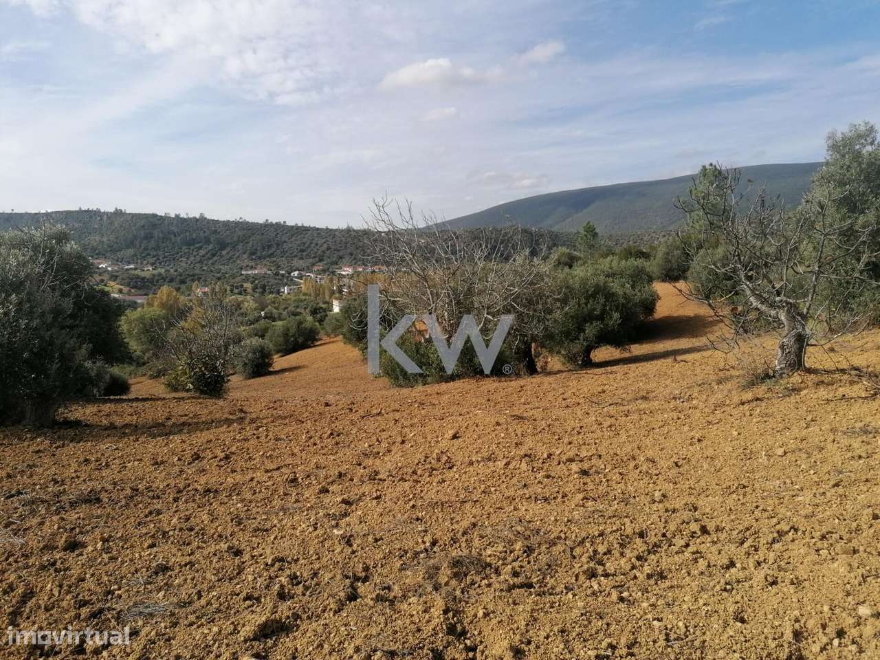 Terreno Rústico para Venda em Pedrógão, Torres Novas – 6.560 m2 - Grande imagem: 4/4