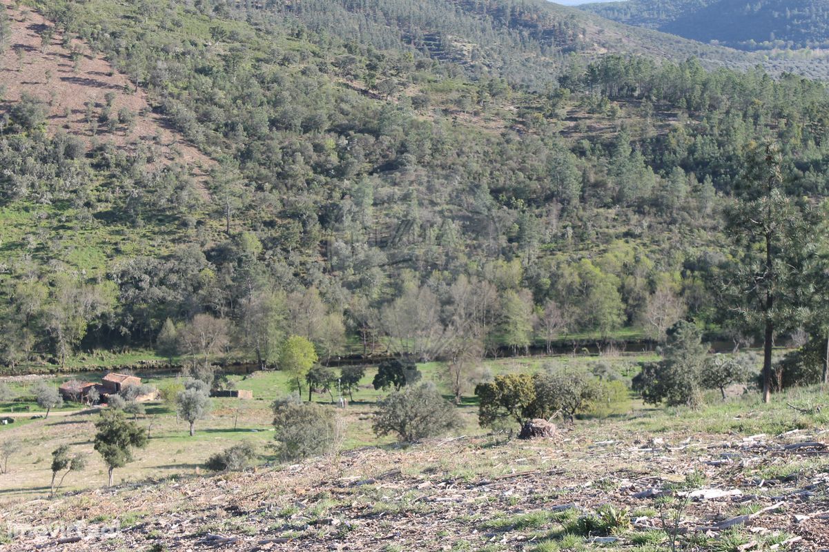 Terreno  para venda