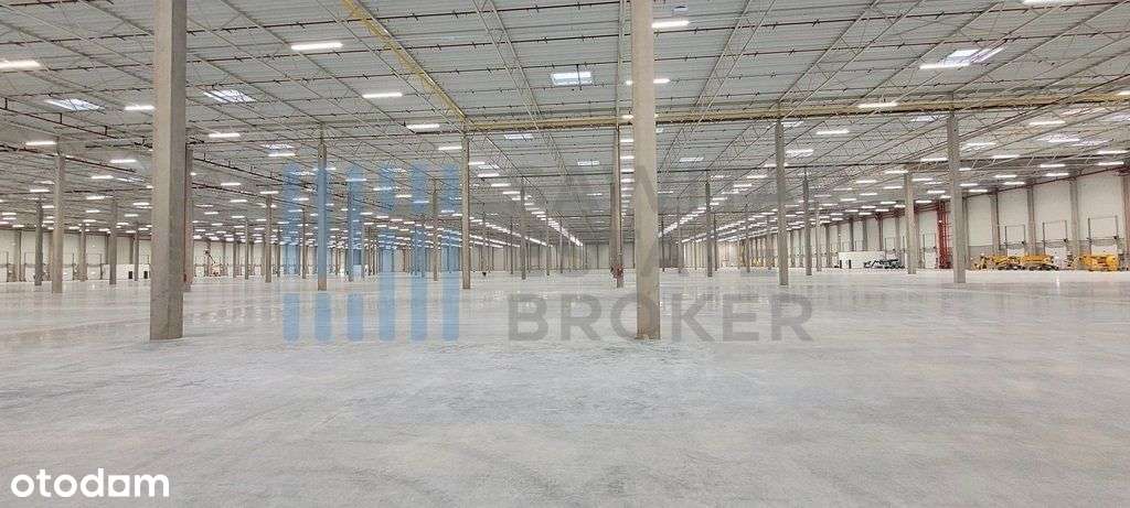 Magazyn klasy A, Lędziny- bez prowizji - Pełny obrazek: 2/3