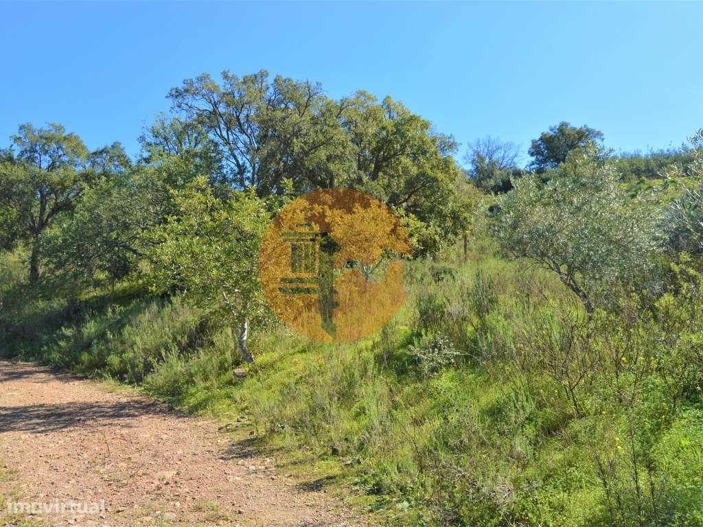 Terreno Rústico próximo de Santa Catarina da Fonte do Bispo - Grande imagem: 2/15