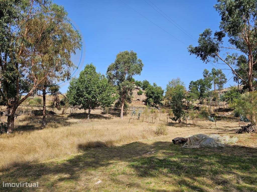 Terreno com 14.757 m², nascente de água e construção existente em J...-24