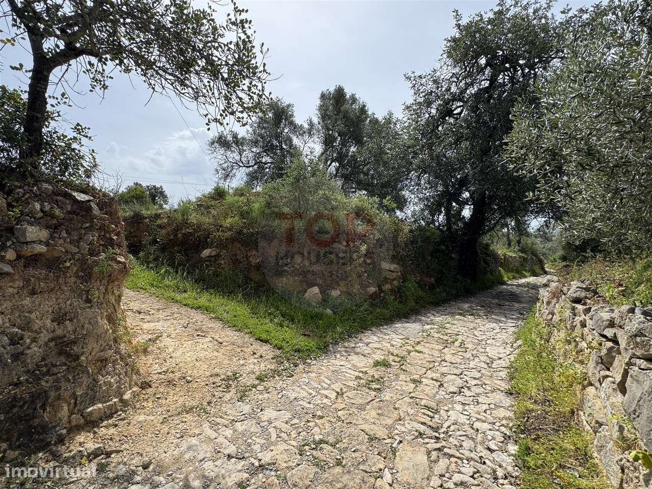 Terreno Rustico - Grande imagem: 4/11