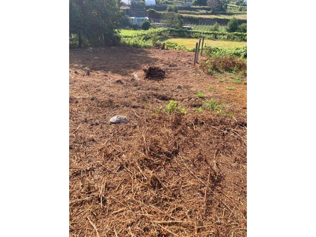 Moradia para Recuperar com Terreno de 800m² - Brandara, Ponte de Lima-2