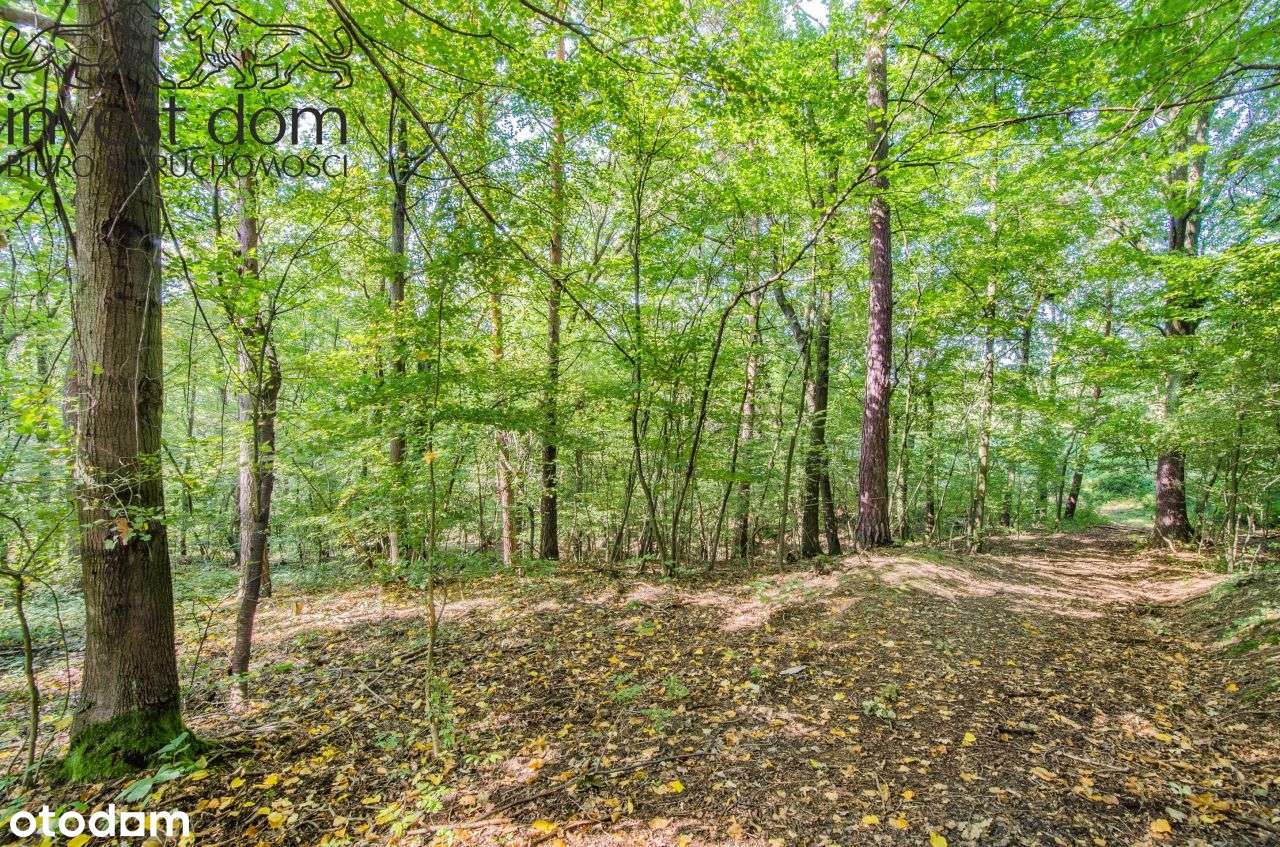 ..wymarzona działka w Ropicy Polskiej !!!-9