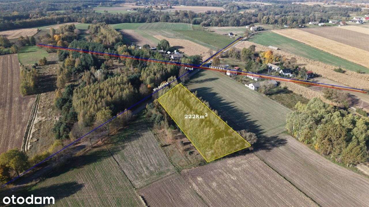 Duża zadrzewiona działka nieopodal Wkry.-10