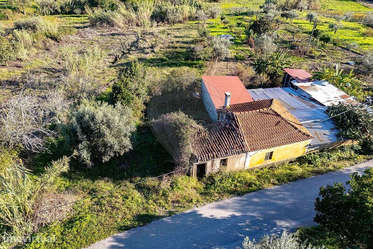 Terreno  para venda - Grande imagem: 4/5