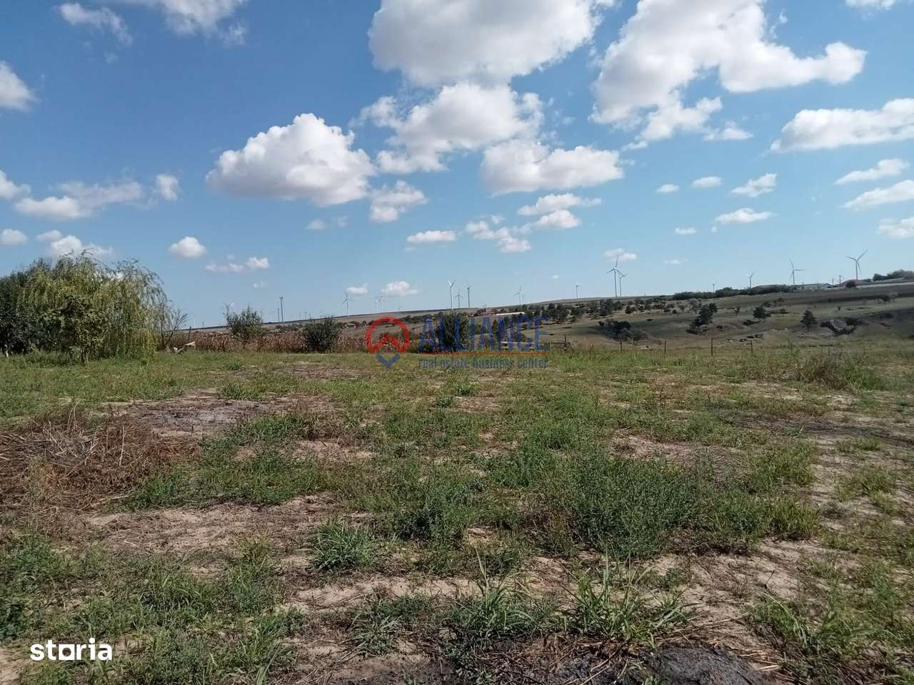 Teren intravilan 4.000 mp - Gradina, jud. Constanta-6