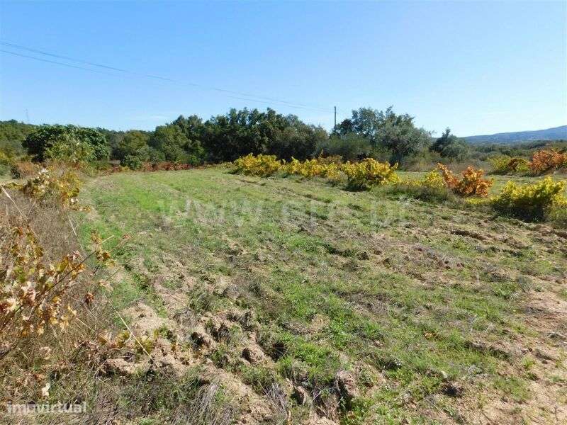 Terreno / Fundão, Pêro Viseu - Grande imagem: 1/7