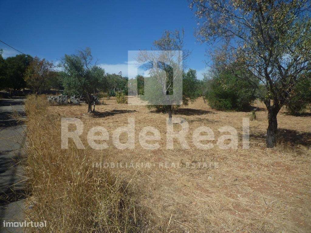Terreno, Loulé - Grande imagem: 4/8