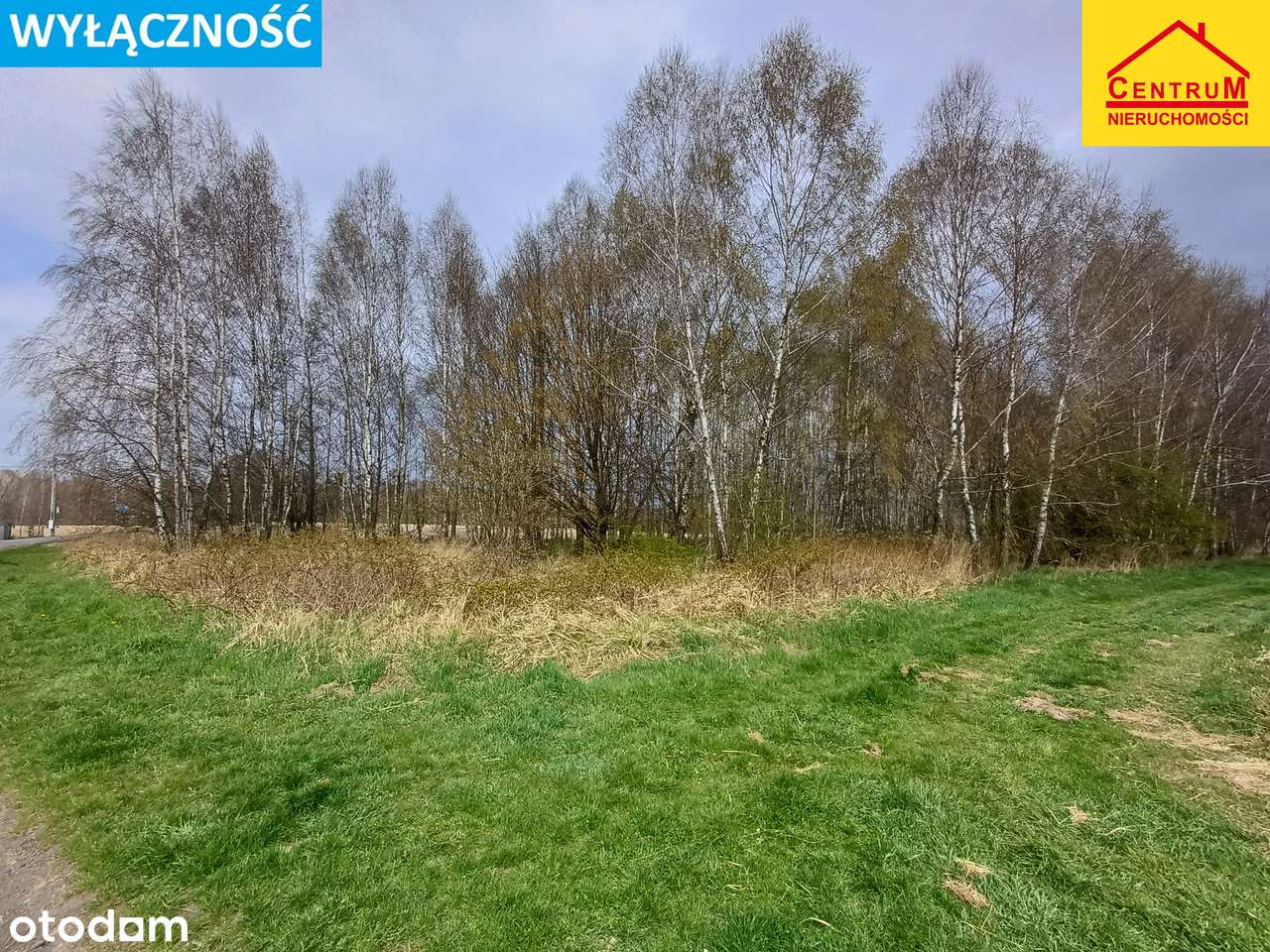 Działka o powierzchni 0,6901 ha przy ul. Letniej - Pełny obrazek: 1/1