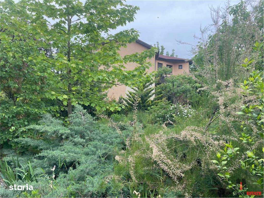 VILA INDIVIDUALA  P+1  PIPERA  DRUMUL BISERICII  1350MP TEREN-9