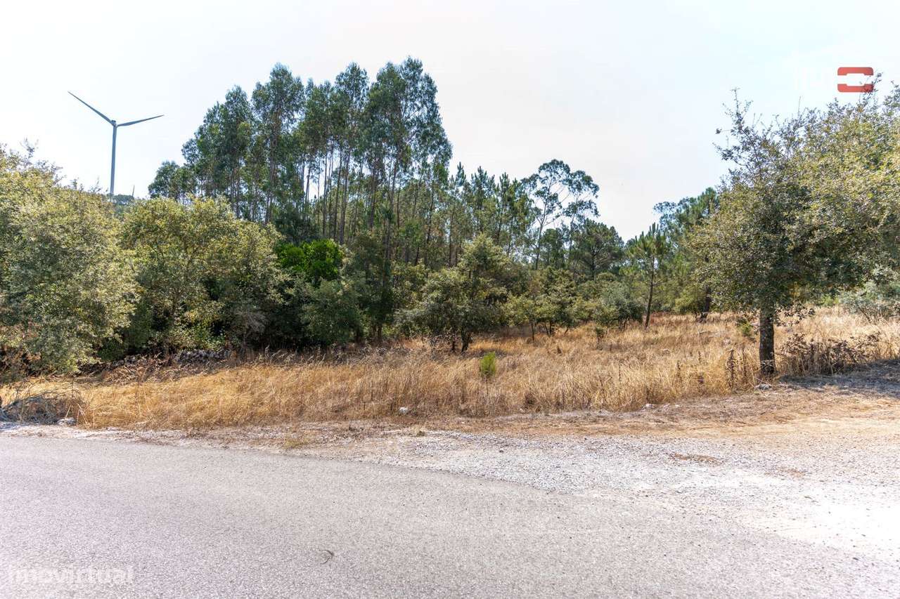Terreno Rústico junto à estrada em Barreiro Grande, S. Mamede - Grande imagem: 3/11