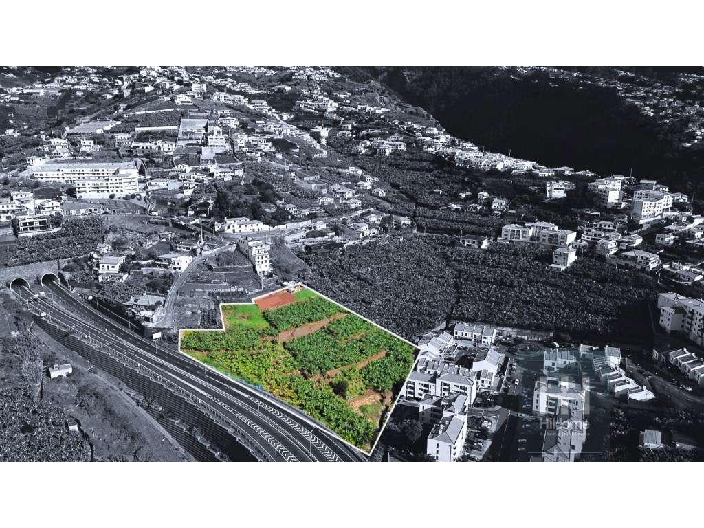 Terreno Agrícola com 7745m² em Câmara de Lobos - Grande imagem: 2/15
