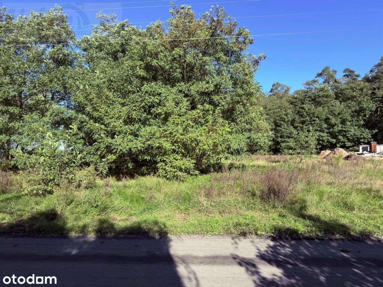 Działka, 2 099 m², Mrożewice-1